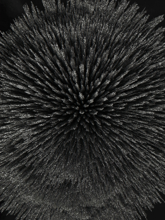 Seb Janiak Magnetic Radiation 99 Large Abstract photography 2012 - 4118939