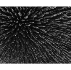 Seb Janiak Magnetic Radiation 99 Medium Abstract photography 2012 - 4118953