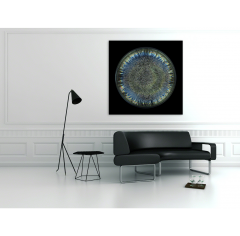 Seb Janiak Morphogenetic Field AB Negative Blood Abstract photography 2016 - 4118981