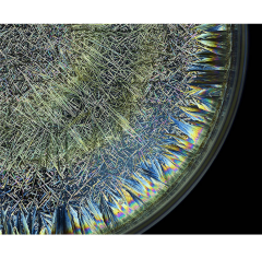 Seb Janiak Morphogenetic Field AB Negative Blood Abstract photography 2016 - 4119005