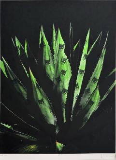 Sebastian Magnani LA11 - 4081802