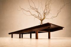 Sergio Rodrigues Sergio Rodrigues Brazilian Modern 1958 Mucki bench in Rosewood - 4612103