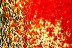 Serkan Cura Pheasant feathers triptych - 2037491