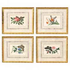 Set Of Four Chinese Export Framed Pith Paper Watercolors Of Plants And Insects - 4789074
