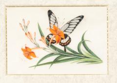 Set Of Four Chinese Export Framed Pith Paper Watercolors Of Plants And Insects - 4789126