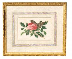 Set Of Four Chinese Export Framed Pith Paper Watercolors Of Plants And Insects - 4789170