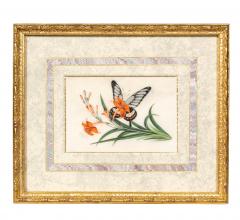 Set Of Four Chinese Export Framed Pith Paper Watercolors Of Plants And Insects - 4789178
