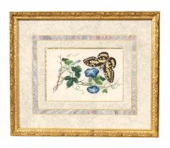 Set Of Four Chinese Export Framed Pith Paper Watercolors Of Plants And Insects - 4789224