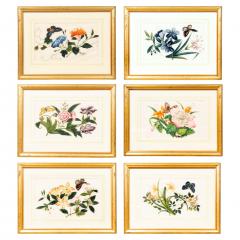 Set Of Six Chinese Export Framed Pith Paper Watercolor Botanicals - 4789077