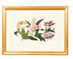 Set Of Six Chinese Export Framed Pith Paper Watercolor Botanicals - 4789155
