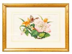 Set Of Six Chinese Export Framed Pith Paper Watercolor Botanicals - 4789163