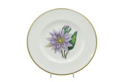 Set of 12 English Victorian Floral Worcester Plates - 4664129