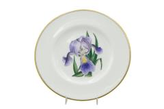 Set of 12 English Victorian Floral Worcester Plates - 4664131
