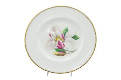 Set of 12 English Victorian Floral Worcester Plates - 4664136