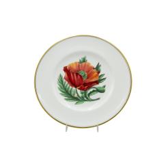Set of 12 English Victorian Floral Worcester Plates - 4718120