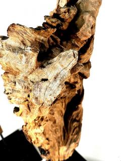 Set of 3 Abstract Driftwood Sculptures XXX - 4617478