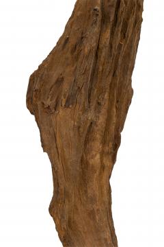 Set of 3 Contemporary American Abstract Driftwood Sculptures - 4661868