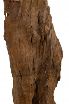 Set of 3 Contemporary American Abstract Driftwood Sculptures - 4661871
