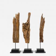 Set of 3 Contemporary American Abstract Driftwood Sculptures - 4692409