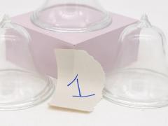 Set of 3 Glass Garden Cloches English Mid 20th c  - 3633723