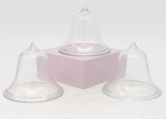 Set of 4 Glass Garden Cloches English Mid 20th c  - 3642450