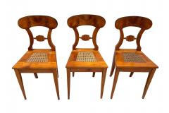 Set of 6 Biedermeier Board Chairs Cherry wood and Mesh Austria circa 1830 - 4478413