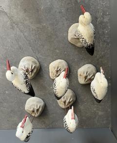 Set of 6 Cast Cement Painted Seagulls Alsace France - 4252094