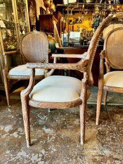 Set of 6 Italian Faux Bois Dining Chairs - 4374066