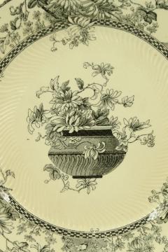 Set of 7 English Victorian Black and Cream Floral Transferware Plates - 4675199