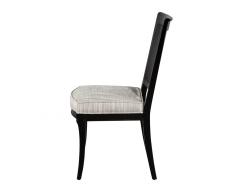 Set of 8 Regency Black Lacquered Cane Back Dining Chairs - 2993169