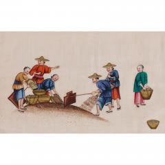 Set of Antique Chinese pith paintings depicting tea production - 3457304