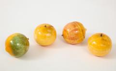 Set of Colorful Stone Fruit - 1840349