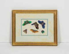 Set of Eight Chinese Rice Paper Paintings of Butterflies and Insects - 808172