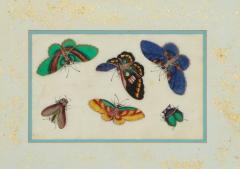 Set of Eight Chinese Rice Paper Paintings of Butterflies and Insects - 808174
