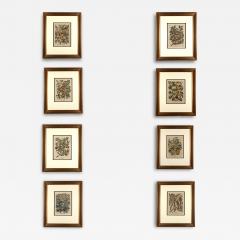Set of Eight French Botanical Prints Circa 1890 - 3510525