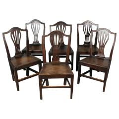 Set of English Country Chairs - 1341245