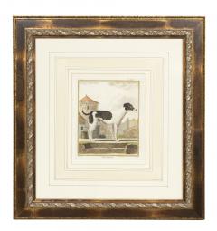 Set of Four Hand Colored Engravings of Dogs - 3996289