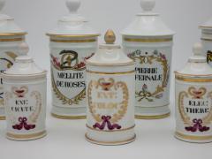 Set of Seven French Apothecary Jars - 2681789