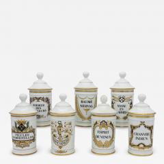 Set of Seven Mid 20th Century French Provence Apothecary Jars - 2804605