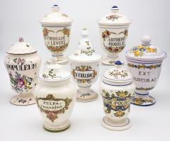 Set of Seven early 20th Century French Provence Apothecary Jars - 2797432