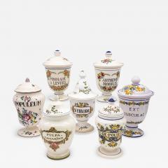 Set of Seven early 20th Century French Provence Apothecary Jars - 2804606