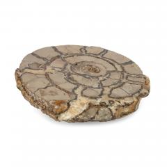 Set of pink amethyst agate fossilised ammonite and coral fossil - 3640609