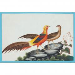 Set of six antique Chinese pith paper watercolours of birds - 4272142