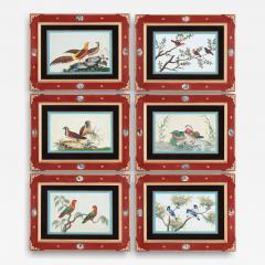 Set of six antique Chinese pith paper watercolours of birds - 4277087