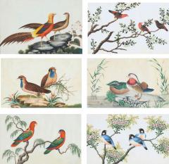 Set of six antique Chinese pith paper watercolours of birds - 4277096