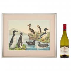 Set of six framed Continental 20th century bird prints - 4467189