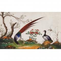 Set of twelve antique Chinese painted bird studies on pith paper - 3478035