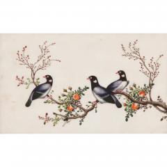 Set of twelve antique Chinese painted bird studies on pith paper - 3478038