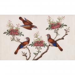 Set of twelve antique Chinese painted bird studies on pith paper - 3478040
