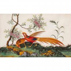 Set of twelve antique Chinese painted bird studies on pith paper - 3478046